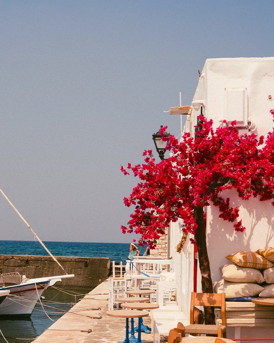 Paisagem da Grécia com flores e mar